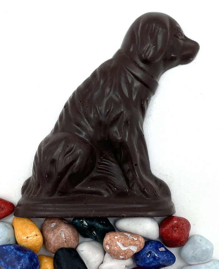 Dark chocolate dog.