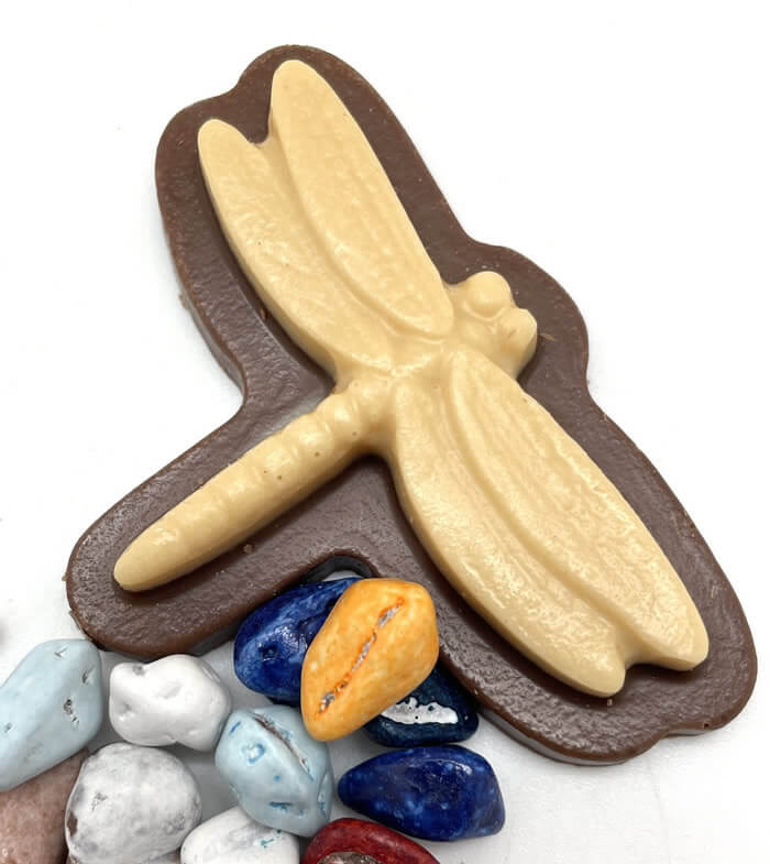 White and milk chocolate dragonfly.