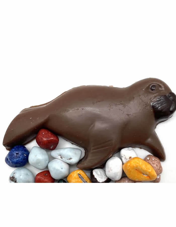 Novelty milk chocolate seal.