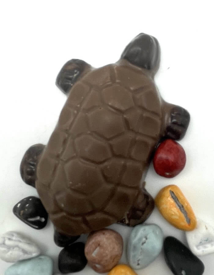 Dark and milk chocolate turtle.
